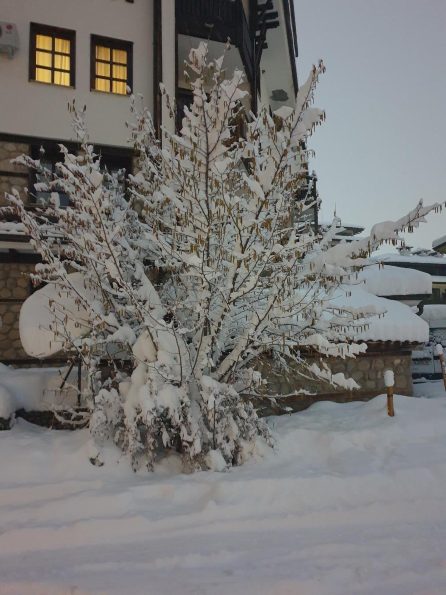 Dream Apart Hotel 207 Bansko Room photo