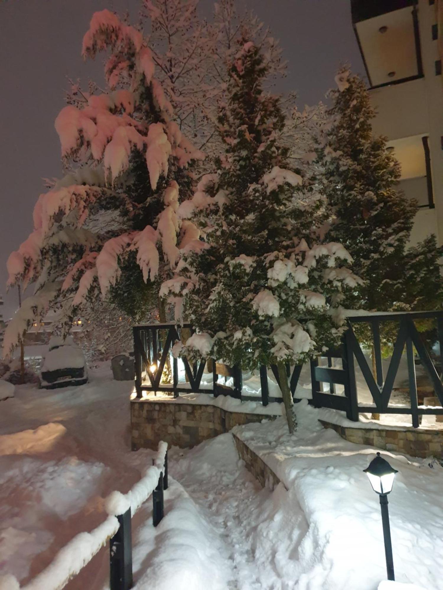 Dream Apart Hotel 207 Bansko Room photo